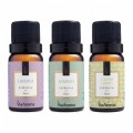 Kit 3 Essências Via Aroma - Bamboo, Capim Limão, Lavanda